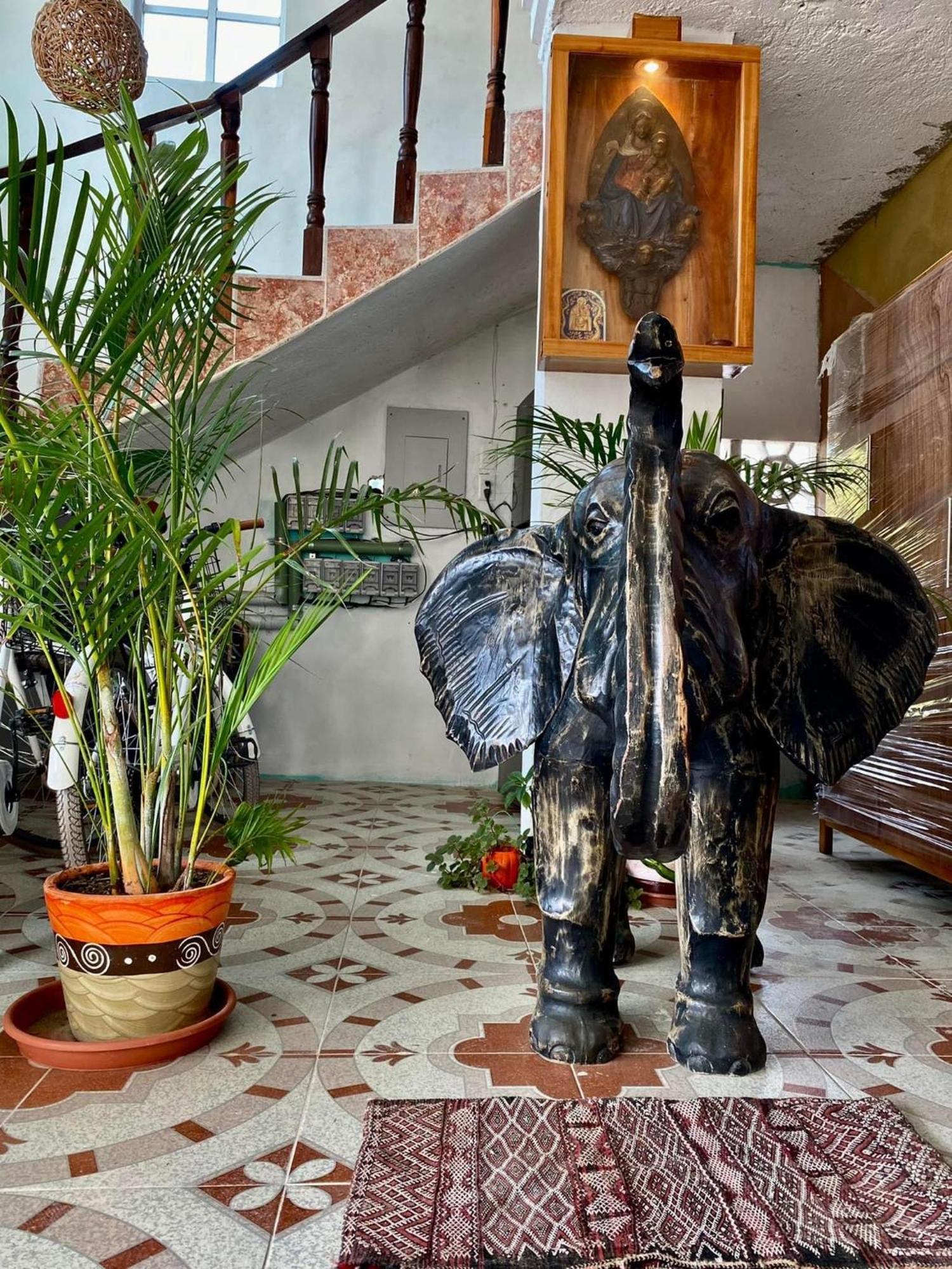 Casa Gajah Hotel Cuyo Exterior photo